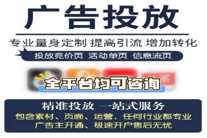 成功SEM托管代运营案例分析